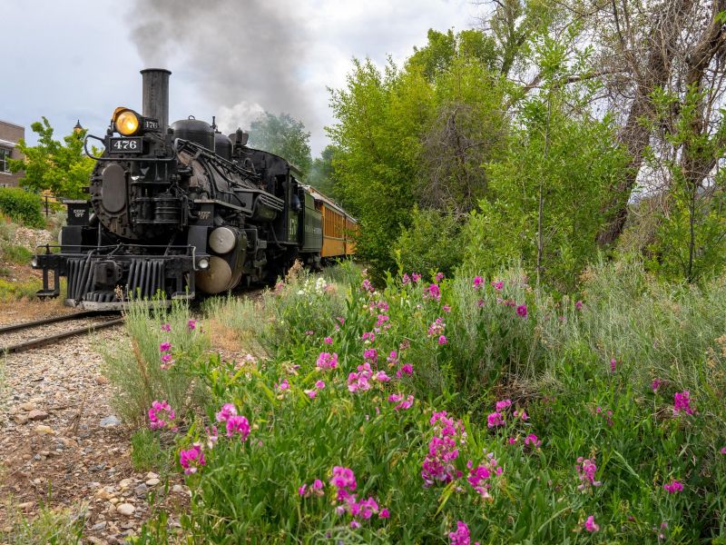 Durango and Silverton Narrow Gauge Railroad During Summer Next to the Durango Botanic Gardens