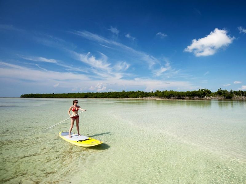 Stand Up Paddleboarding Lower Keys c by Rob ONeal