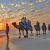 Australien/WA/Cable Beach Camels