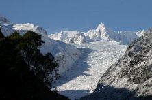 Neuseeland/Fox_Glacier/Distinction_Te_Weheka_Gletscher