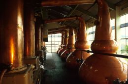 Schottland/Clynelish Distillery